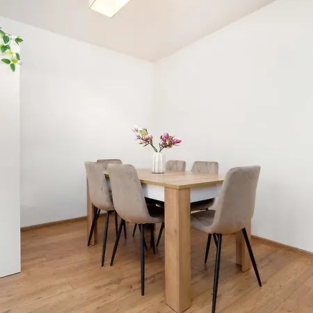 公寓 Family In Center With Air Conditioning And View By Renters *