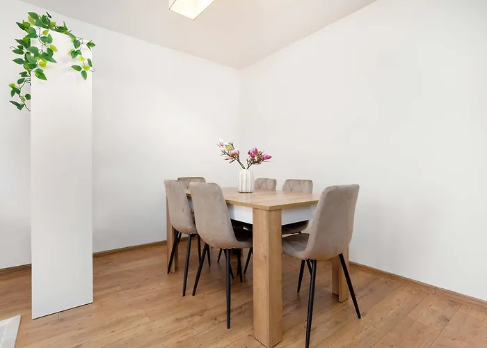 Apartment Family In Center With Air Conditioning And View By Renters *