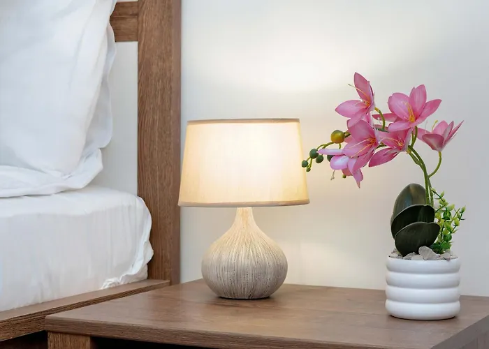 Apartment Family In Center With Air Conditioning And View By Renters